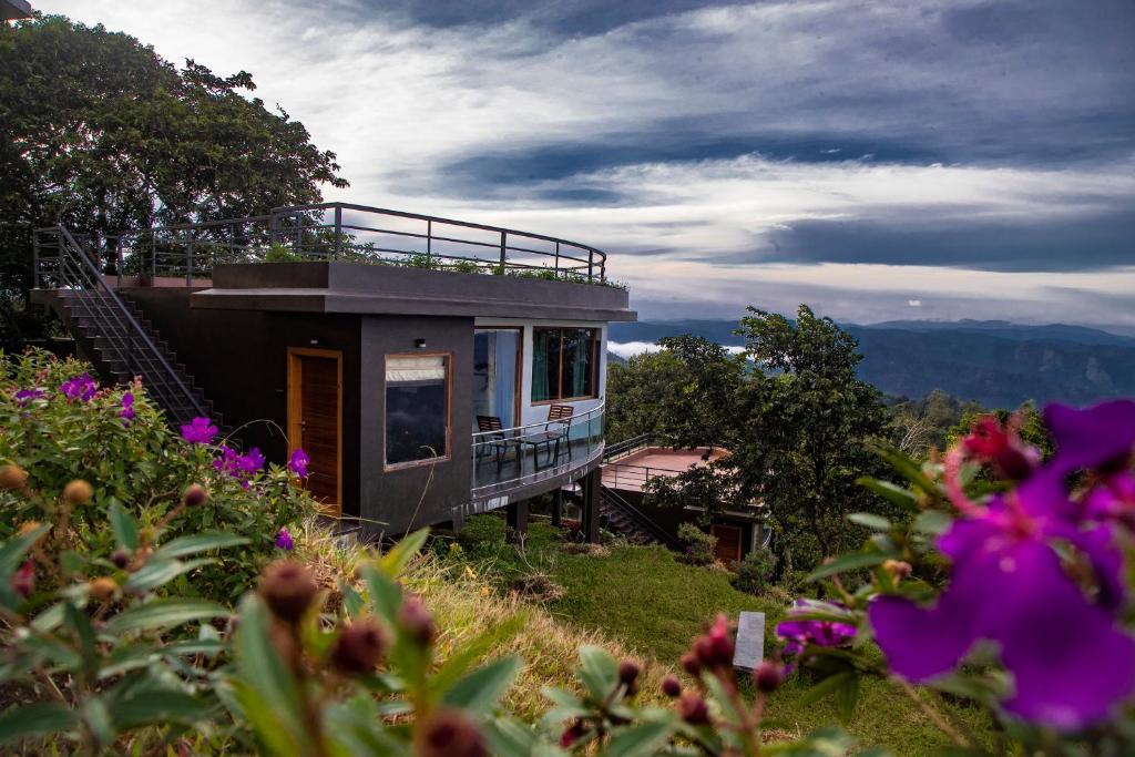 Kerala Honeymoon Tour Packages