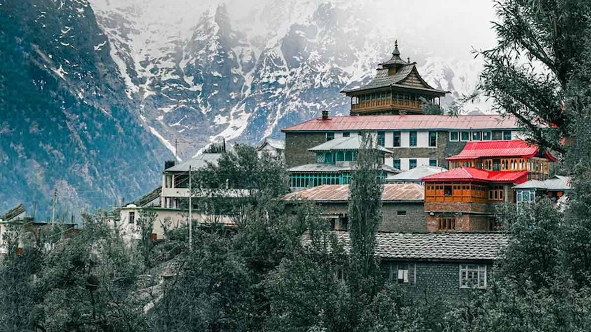 Kasauli Car Tour Package